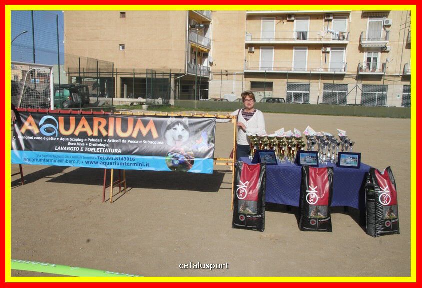 180311 mostra_canina 065.jpg